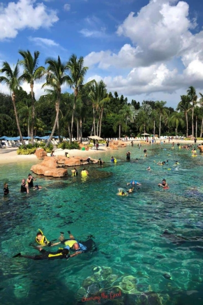 A Day at the Fontainebleau Las Vegas Pool: Tropical Paradise in the Heart of the City