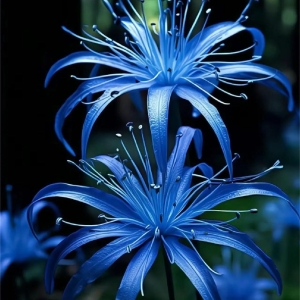 Artistic Display of Vibrant Blue Flowers: A Symphony of Colors