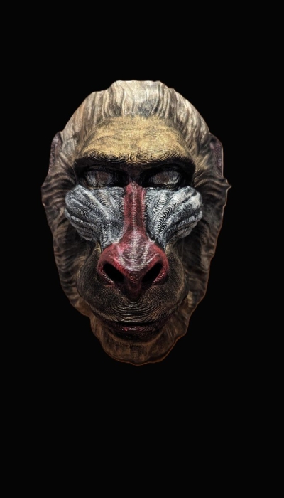 Artistic Representation of a Baboon's Face: A Stylized Animal Portrait