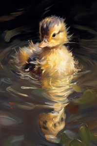 Dazzling Duckling: A Study of Soft Plumage and Reflective Waters
