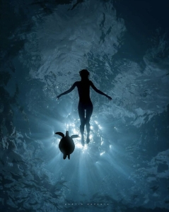 Discovery: The Serene Underwater World and its Graceful Inhabitants