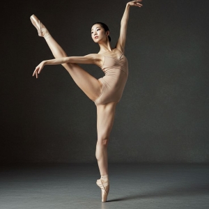 Elegance in Motion: The Art of Ballet Dancing