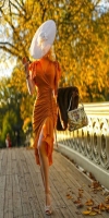 Embracing Autumn: A Leisurely Stroll Amidst Vibrant Fall Foliage