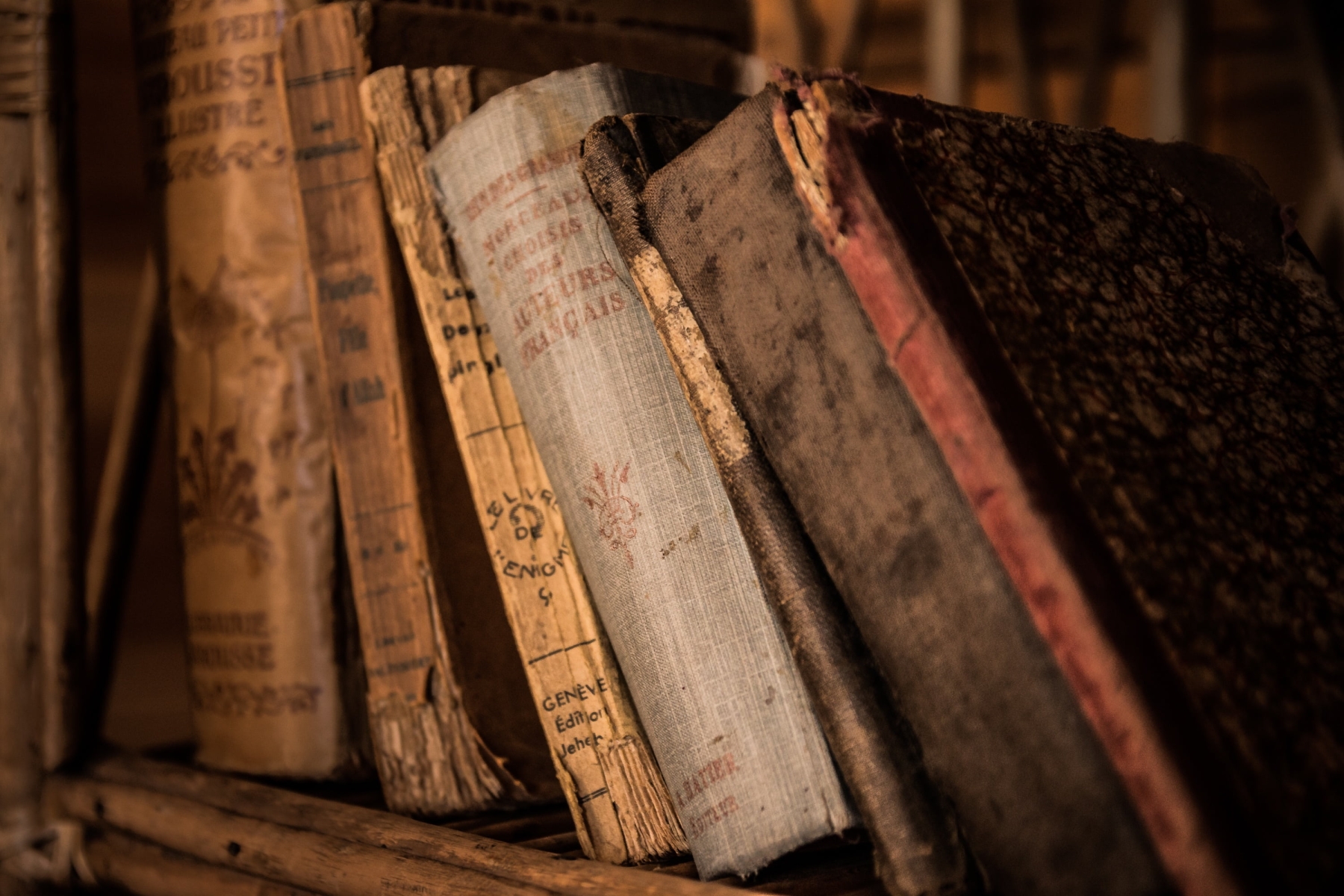 Exploring the Aged Charm of Old Books in Zeromski's Library Archive