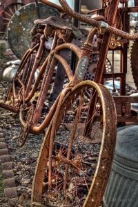 Nostalgic Journey: The Tale of a Vintage Bicycle