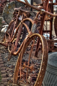 Nostalgic Journey: The Tale of a Vintage Bicycle