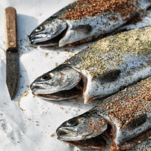 Preparing Freshly Caught Fish for a Delicious Seafood Feast