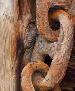 Rustic Elegance: A Study of Weathered Textures
