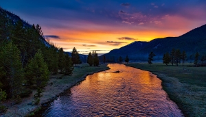 Sunset Twilight at Yellowstone National Park: A Dusk Landscape of Silhouettes