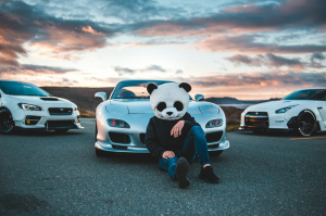 The Enigmatic Panda Masked Individual and Their Silver Sports Car