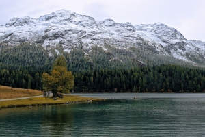 Tranquil Lake Surrounded by Nature: The Ultimate Travel Destination