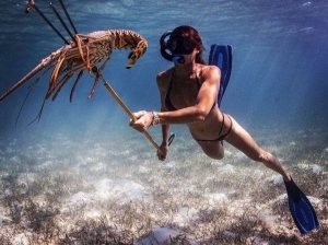 Underwater Discovery: The Thrills of Spearfishing for Lobsters