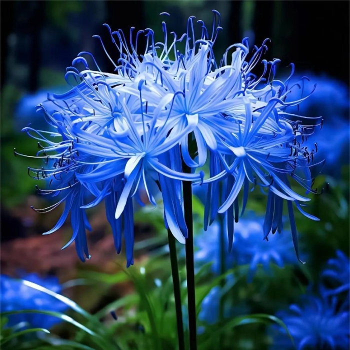 Unveiling the Beauty: Close-up of a Vibrant Blue Flower in Nature